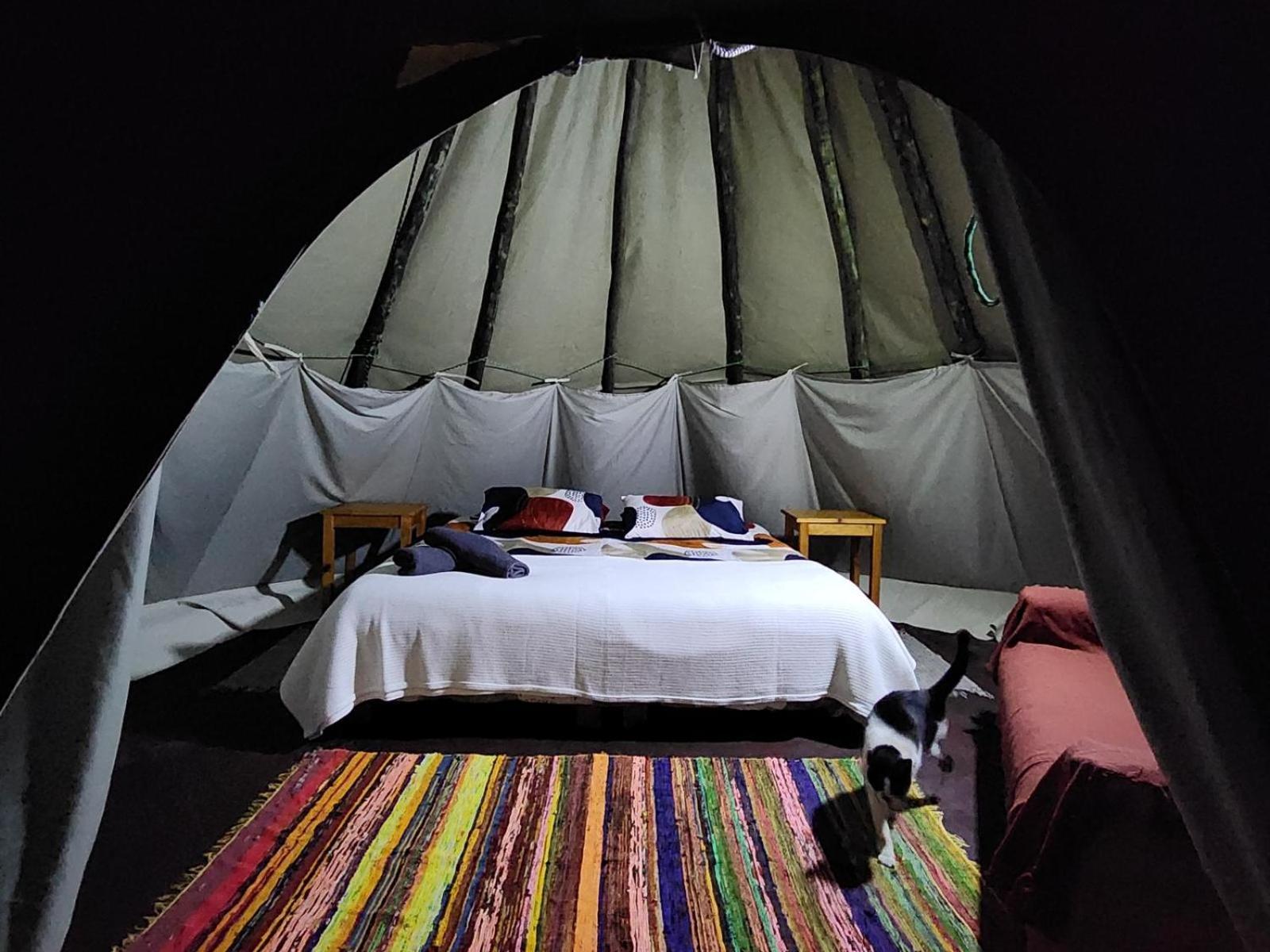 Tsitsikamma Wolf Sanctuary Eco Cabins & Teepees ستورمزريفير الغرفة الصورة
